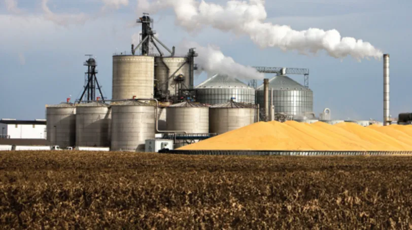 Biofuel push fuels kitchen heat 
